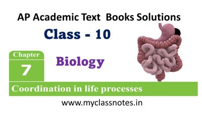 AP Class 10 Coordination in life processes Notes