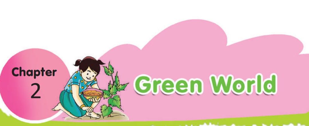Green World - Class IV EVS Chapter 2 New and Best Notes