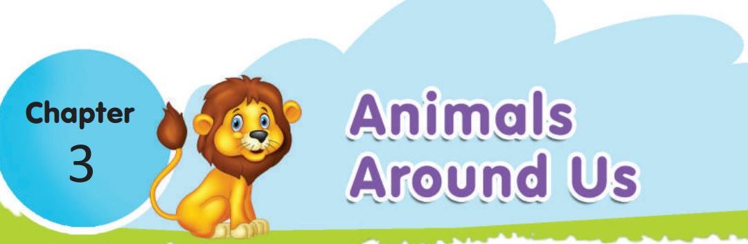 Animals Around Us - Class 4 EVS Chapter 3 Notes New and Best